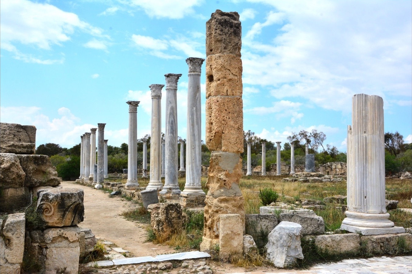 Ancient columns and ruins at Salamis