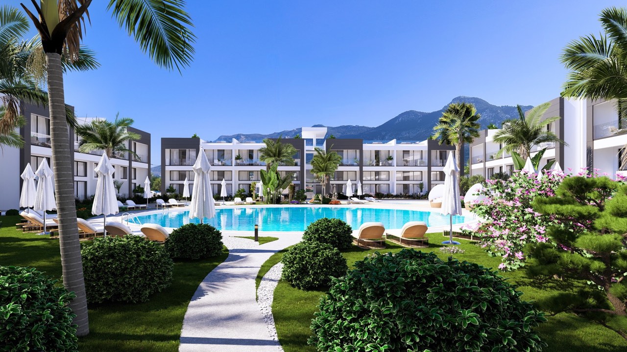 Plumeria — Kyrenia coast, North Cyprus