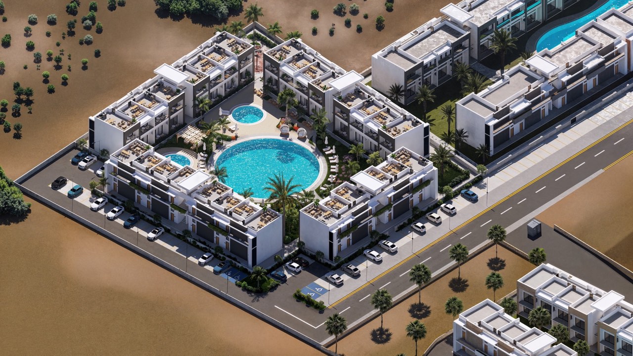 Plumeria — Project gallery 3